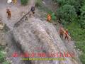 LOST TRIBE OF BRAZIL