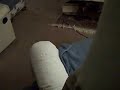 Nov 16 2008 - VID00031 Nov 16 2008 - VID00031