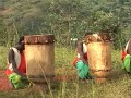 BURUNDI DRUMMERS