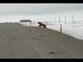 Ottaa Banaani �iti