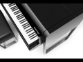 Audi Design Bösendorfer