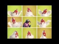 Disney España | Los Muppets: Espectáculo Gonzo y Camila