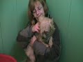 Scared dogs looking for homes