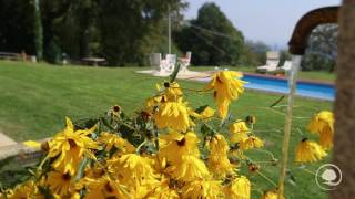 Agriturismo Cascina Il Faggio