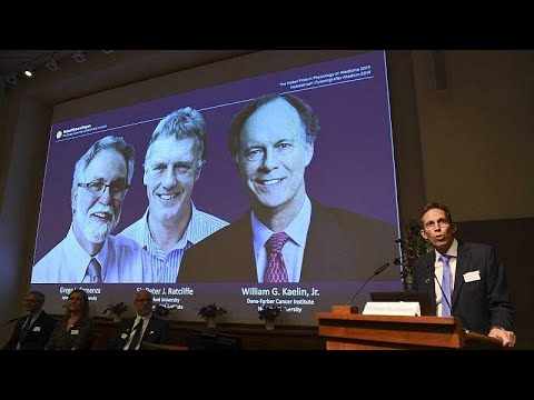 Medizin-Nobelpreis 2019 fr William Kaelin, Gregg Semen ...