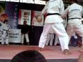 videos de APRESENTAÇÃO DA ACADEMIA KAWAMURA DE KARATE NA FEIRA JAPONESA