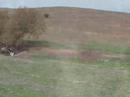 Downhill Freeride At Omeo
