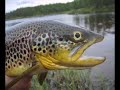 FiskeEliten - Vi ska till norrland