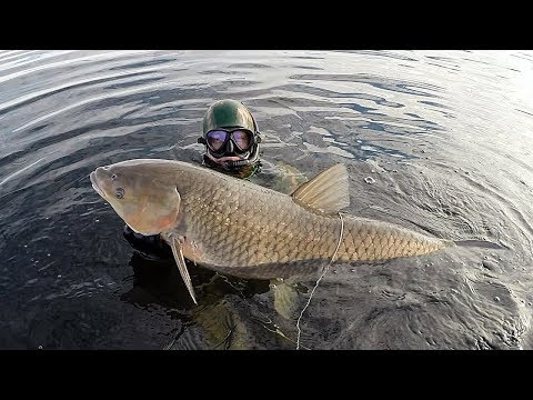 3gp видео о рыбалке 3gp видео о рыбалке