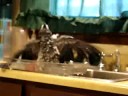 Gandalf taking a Bath