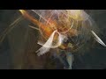 Guarda il video