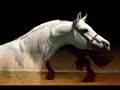 chevaux