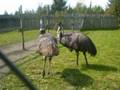 saaremaa.wmv