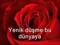yaban gülüm