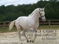 Westlands Stud Farm Livery