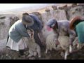 viaje a huancayo  santiago 