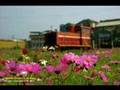 [台糖鐵路] 廢線舊跡2006/7影像紀錄