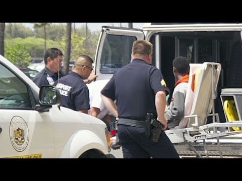 See how stowaway could have fit inside plane's wheel...