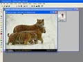 Photo calendars in MS Word