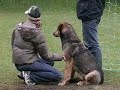 Der Bundesliga-Torwart Robert Enke (Hannover 96) setzt sich für Tiere ein. Das Video zeigt Ausschnitte aus dem Fotoshooting für ein PETA-Plakat gegen Hundepelz. Robert Enke und seine Frau haben sieben Straßenhunden aus Portugal bei sich ein neues Zuhause gegeben.