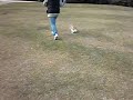 さんぽ