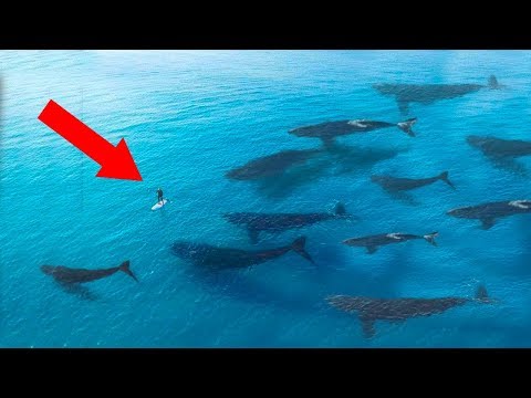 Most MYSTERIOUS Things Science Just CAN'T EXPLAIN!