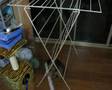 My friend's crazy kitten, Zen