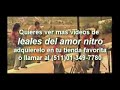 LOS LEALES DEL AMOR - HE DAÑADO TU CORAZON - 2010