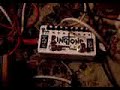 Zvex Ringtone feedbacking just a little bit more