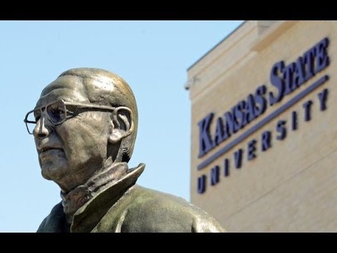 how to draw a k-state wildcat