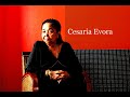 � sentimento � (tututa), cesaria evora album nha sentimento � lusafrica 2009 www.cesaria-evora.com pictures & realisation: � nkrumah lawson daku 2009 www.nklawson.com
