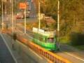 Tramways in Belgrade