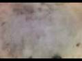videos de dragangee orao pao