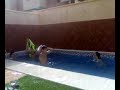 piscina en villarubia