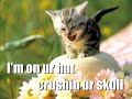 Caturday IX