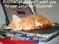 Caturday IX