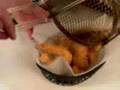 throwdown with Bobby Flay Fish & chips Mat Arnfield Part 1