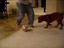 Bourdaine Loves Soccer