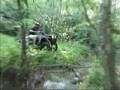4 wheelin ATV fun