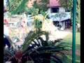 videos de FORT KOCHI-TAJ MALABAR