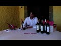 Val d'Alferche Cata Crianza (Español)