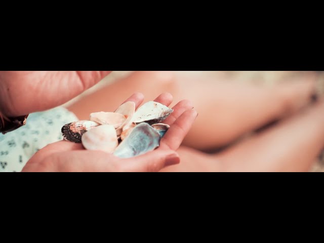 video-camere-sayonara