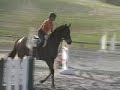 Showjumping at Fence PSJ show May