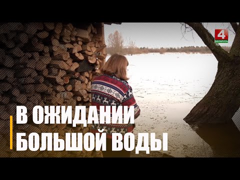 Узнали, как на Гомельщине готовятся к паводку видео