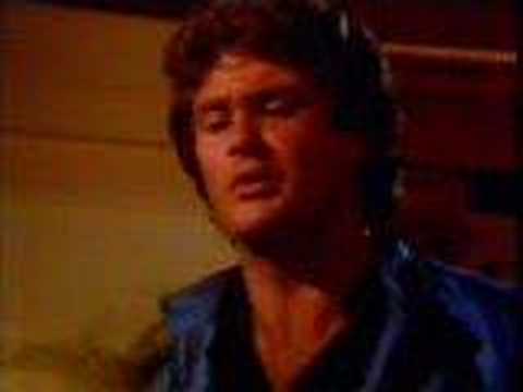 Knight-Rider - Wilton