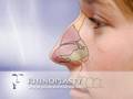 Rhinoplasty Nose Job
