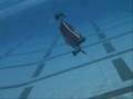 2006 NCSU Underwater Robotics Video