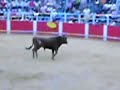 Toro saltando en la plaza de Rada