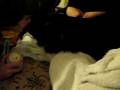 videos de Punkin LOves Mia  :)