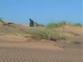 Mauritanian  desert